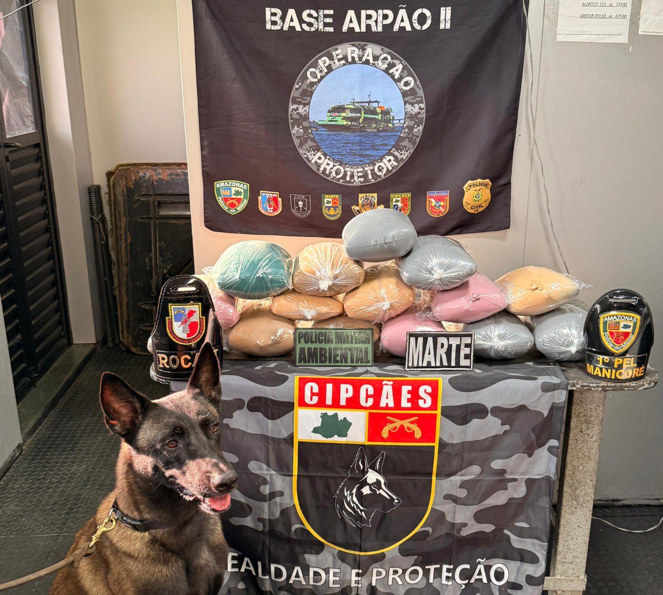 Polícia Militar do Amazonas apreendeu 248 kg de drogas em 72 horas na Base Arpão 2. Operação prendeu 5 pessoas e causou prejuízo de R$ 4 milhões ao crime.