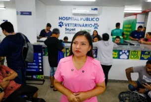 Imagem mostra Joana Darc - Joana Darc Desmente Fake News Sobre Cobranças em Hospital Veterinário