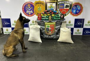 Amazonas é o 6º Estado que Mais Apreende Drogas no Brasil em 2025
